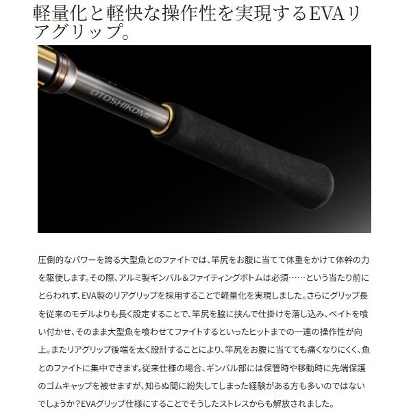 25アルシエラ落し込み